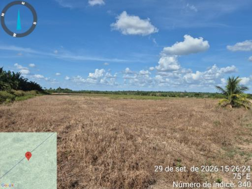 Imagem 23 do Leilão de Área Rural - Interior - Tailândia/PA