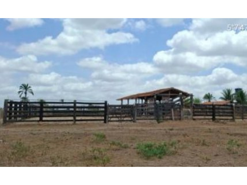 Imagem 13 do Leilão de Área Rural - Interior - São Pedro da Água Branca/MA