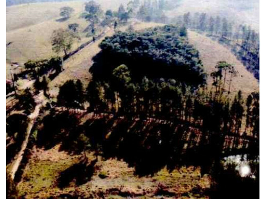 Imagem 1 do Leilão de Terreno c/Benfeitorias - Rocinha - Guaratinguetá/SP