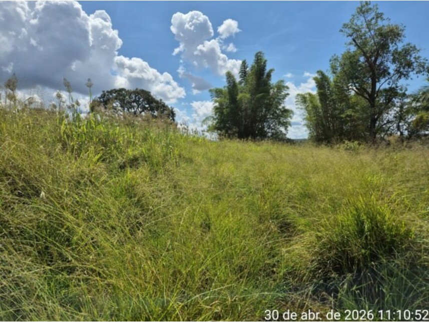 Imagem 4 do Leilão de Fazenda - Cachoeira do Borá - Município de Tesouro, Comarca de Guiratinga/MT