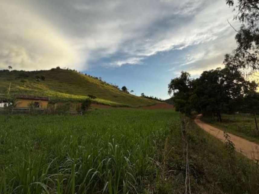 Imagem 3 do Leilão de Fazenda - Zona Rural - Tombos/MG