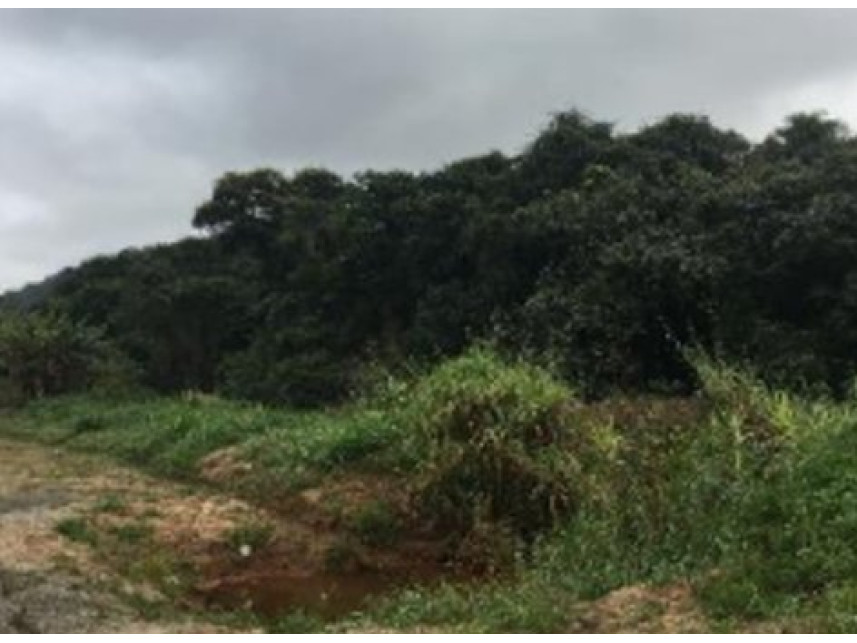 Imagem 2 do Imóvel a venda - Terreno - Altos - Barueri/SP