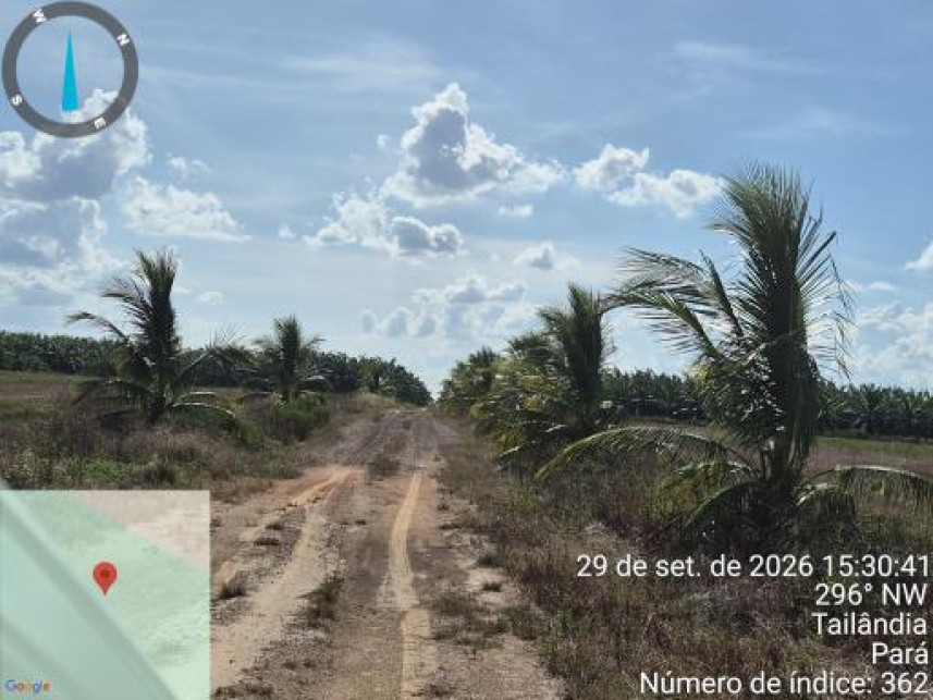 Imagem 11 do Leilão de Área Rural - Interior - Tailândia/PA