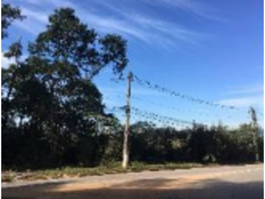 Imagem 3 do Imóvel a venda - Terreno - Graça - Cotia/SP