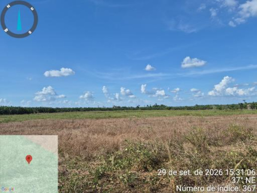 Imagem 6 do Leilão de Área Rural - Interior - Tailândia/PA