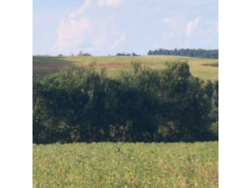 Imagem 3 do Leilão de Terreno - Zona Rural - Itaporanga/SP