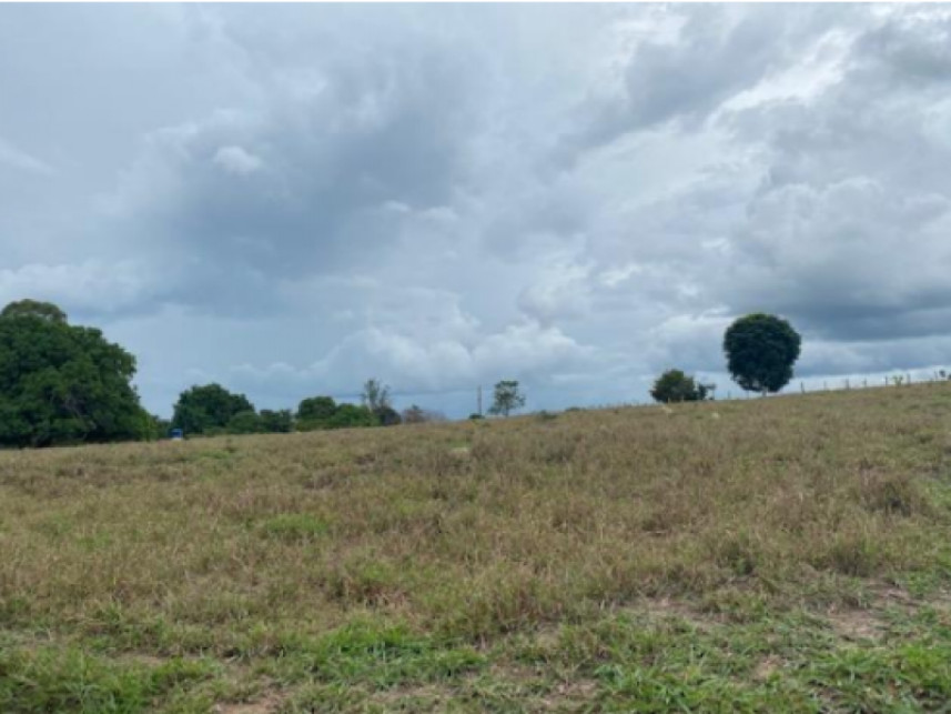 Imagem 4 do Leilão de Fazenda - Fazenda Santa Fé - Zona rural - Vila Nova dos Martírios/MA