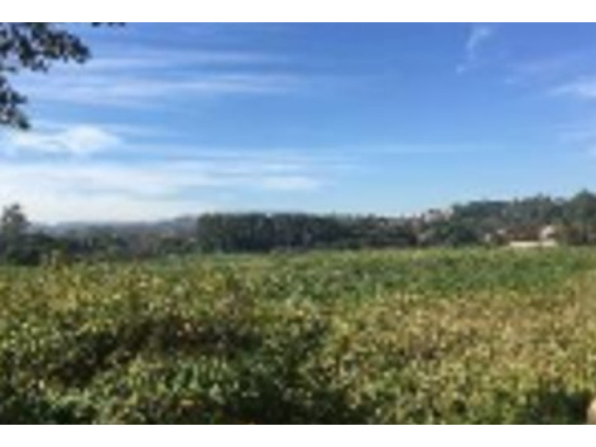 Imagem 4 do Imóvel a venda - Terreno - Graça - Cotia/SP
