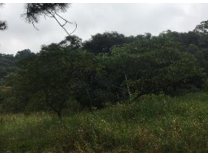 Imagem 4 do Imóvel a venda - Terreno - Altos - Barueri/SP