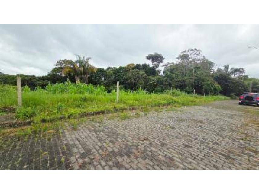 Imagem 5 do Leilão de Terreno - Fazenda Santa Fé - Coqueiro Seco/AL
