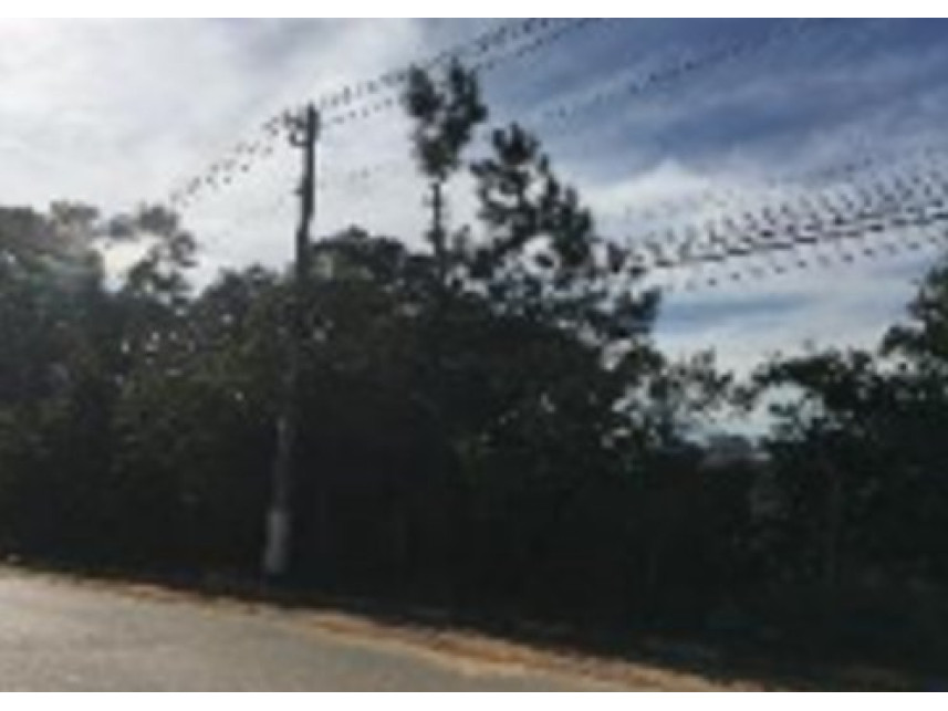 Imagem 2 do Imóvel a venda - Terreno - Graça - Cotia/SP