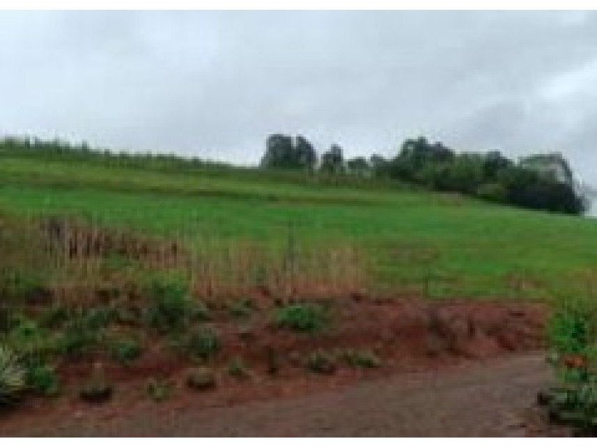 Imagem 6 do Leilão de Área Rural - Colônia Nova Santa Cruz - Itá/SC