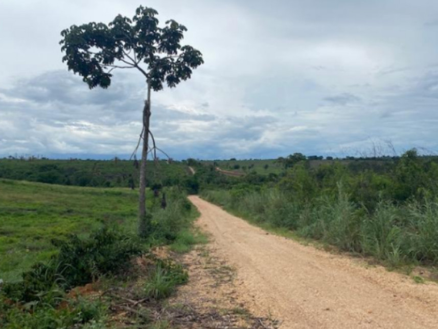Imagem 13 do Leilão de Fazenda - Zona rural - Vila Nova dos Martírios/MA