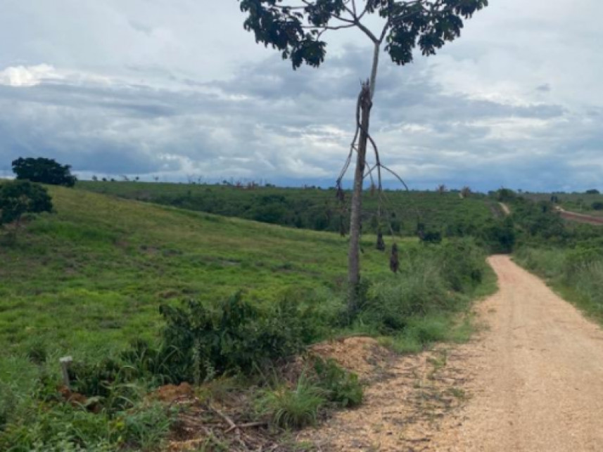 Imagem 12 do Leilão de Fazenda - Zona rural - Vila Nova dos Martírios/MA