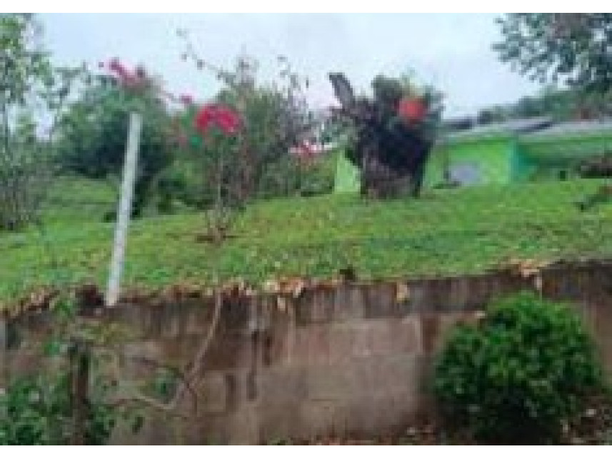 Imagem 11 do Leilão de Área Rural - Colônia Nova Santa Cruz - Itá/SC