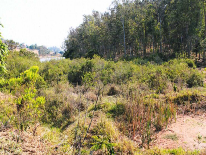 Imagem 1 do Leilão de Fazenda - Zona Rural - Monte Belo/MG