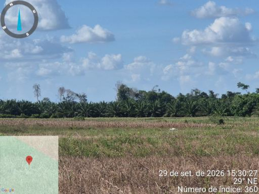 Imagem 15 do Leilão de Área Rural - Interior - Tailândia/PA