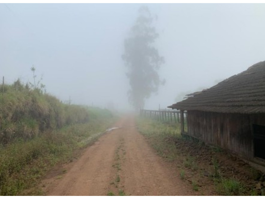 Imagem 2 do Leilão de Área Rural - Distrito de Volta Grande - Alpestre/RS