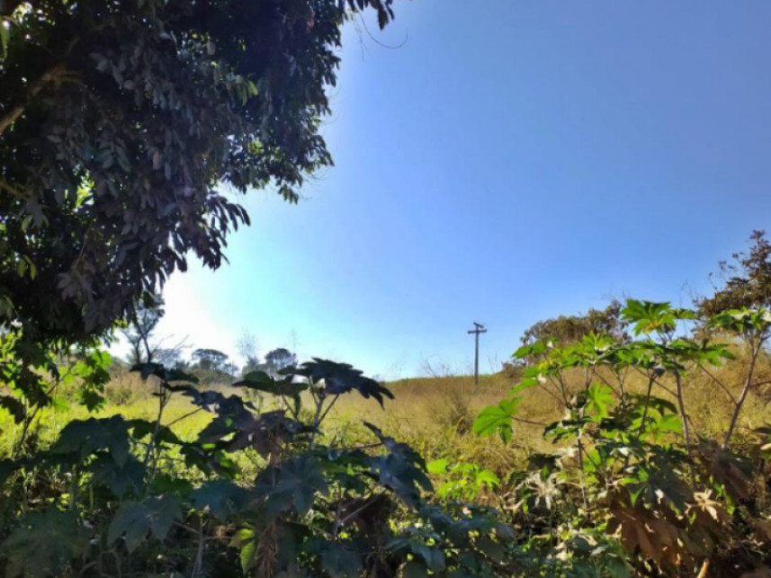 Imagem 8 do Leilão de Fazenda - Rural - Luz/MG
