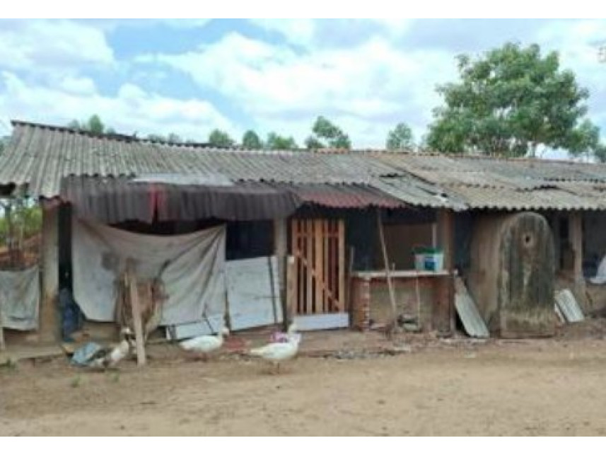 Imagem 5 do Leilão de Área Rural - Interior - São Pedro da Água Branca/MA