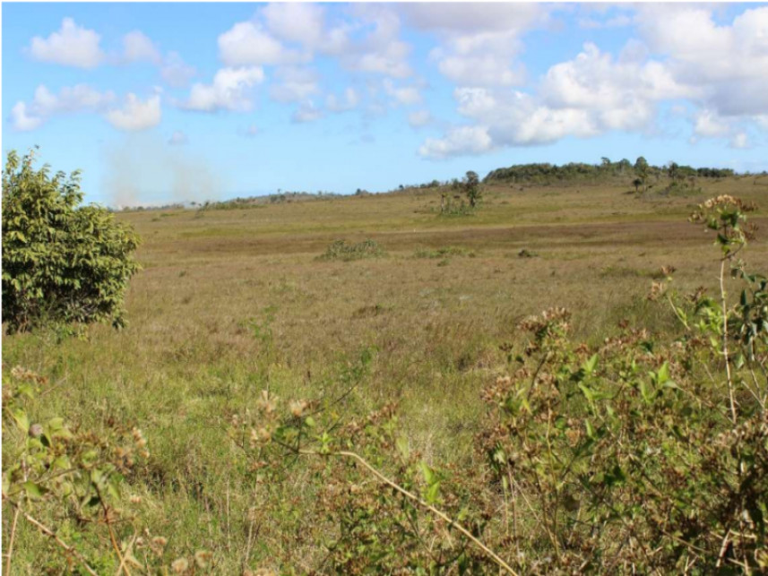 Imagem 2 do Leilão de Fazenda - Fazenda Jaqueira - Camaçari/BA