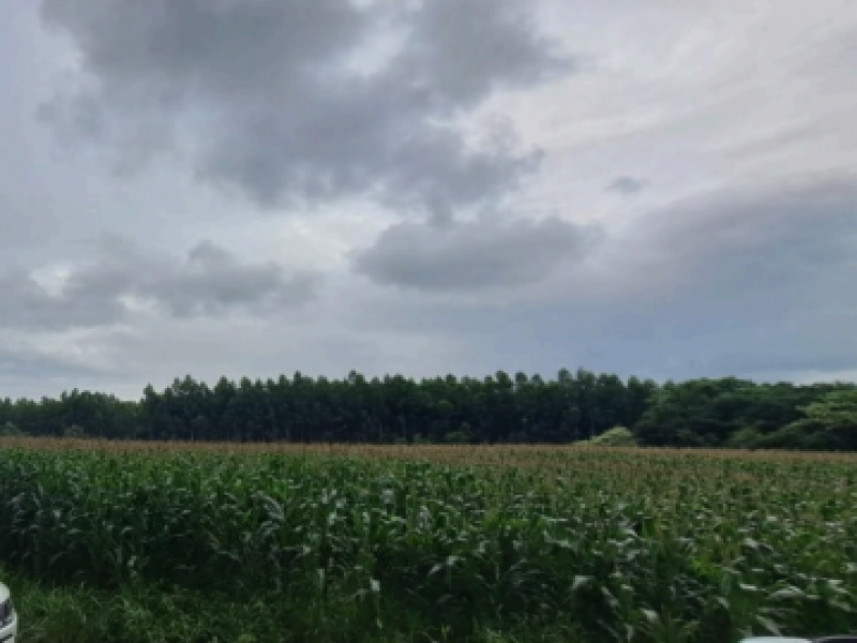 Imagem 2 do Leilão de Terreno - Distrito de Alto da Serra - Chapecó/SC