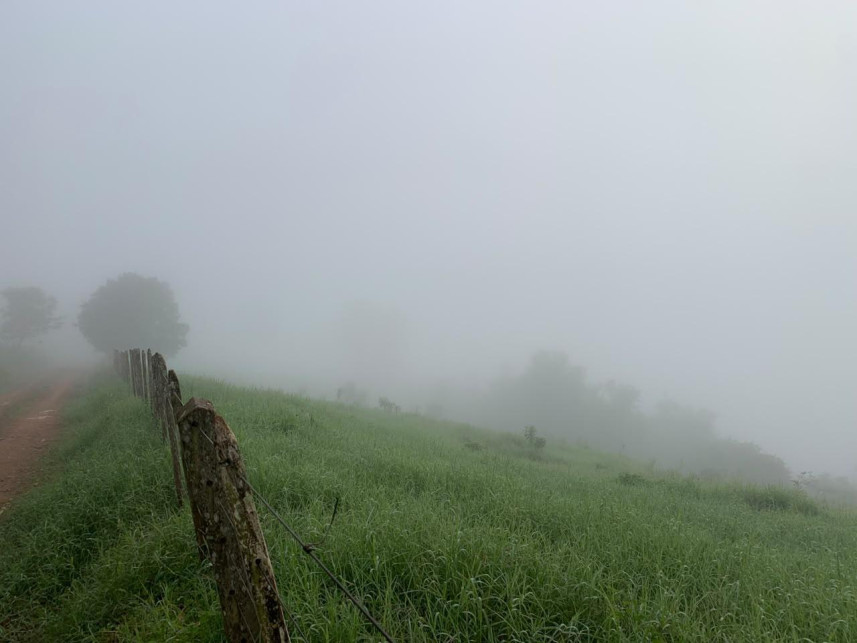 Imagem 9 do Leilão de Área Rural - Distrito de Volta Grande - Alpestre/RS