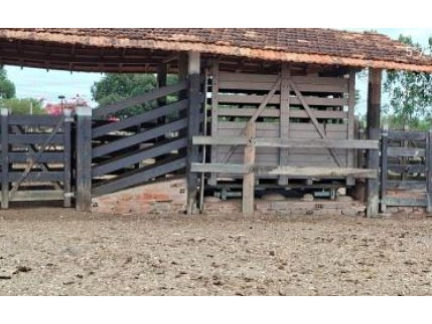 Imagem 12 do Leilão de Área Rural - Interior - São Pedro da Água Branca/MA