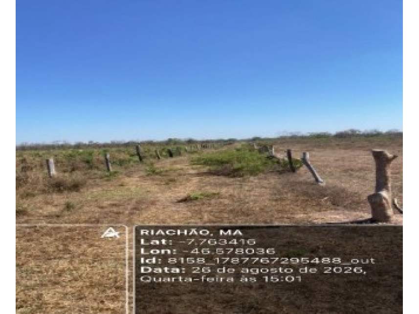 Imagem do Leilão de Área Rural - Zona Rural - Riachão/MA