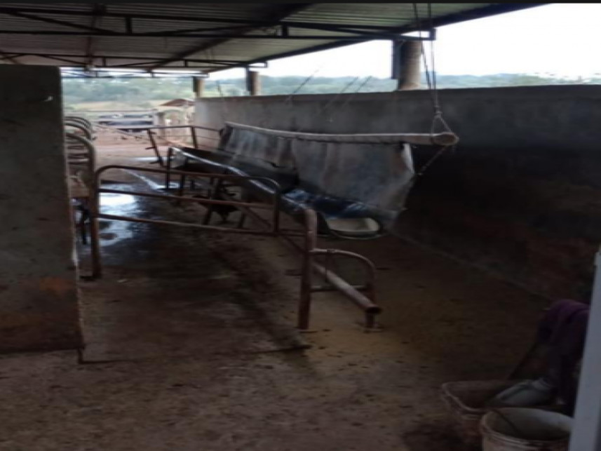 Imagem 3 do Leilão de Fazenda - Limoeiro - Luz/MG