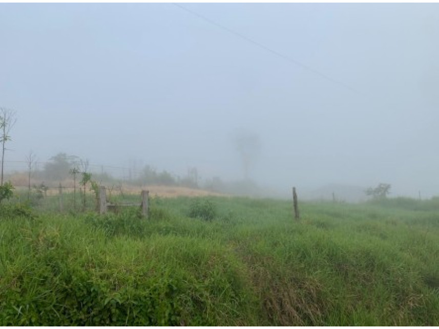 Imagem 4 do Leilão de Área Rural - Distrito de Volta Grande - Alpestre/RS