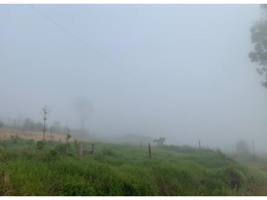 Imagem 8 do Leilão de Área Rural - Distrito de Volta Grande - Alpestre/RS