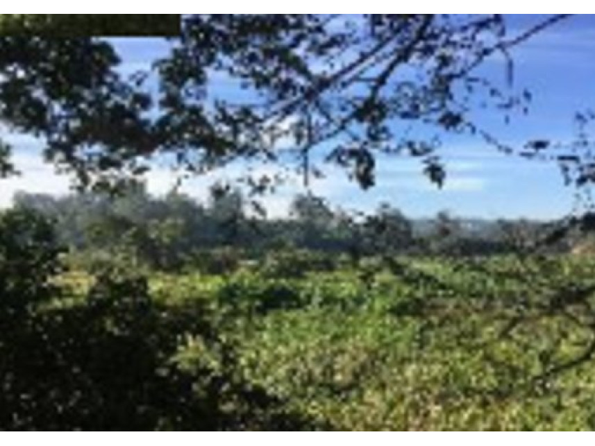 Imagem 3 do Imóvel a venda - Terreno - Graça - Cotia/SP