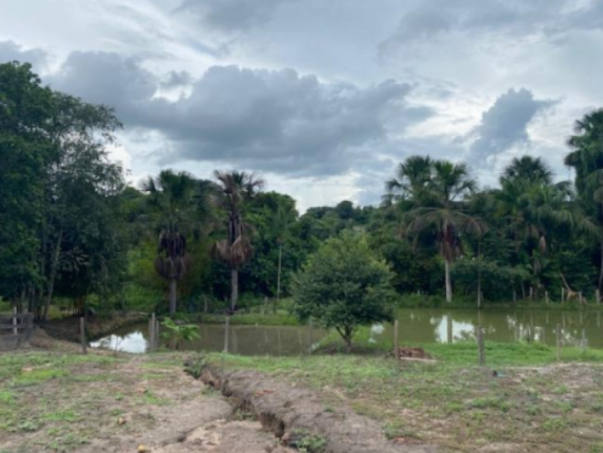 Imagem 6 do Leilão de Fazenda - Fazenda Santa Fé - Zona rural - Vila Nova dos Martírios/MA