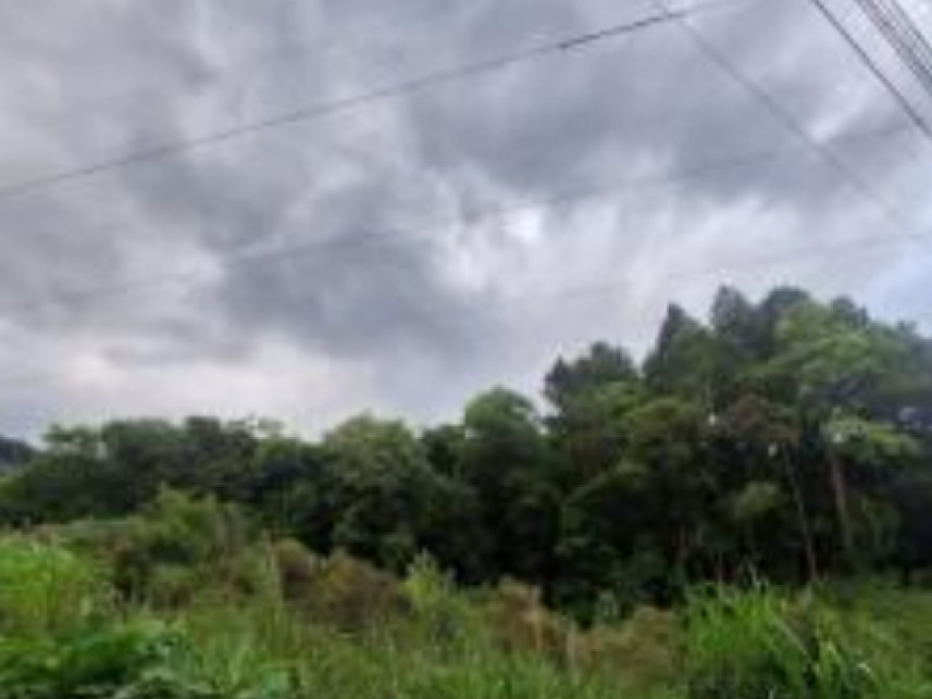 Imagem 7 do Leilão de Área Rural - Interior - Canela/RS