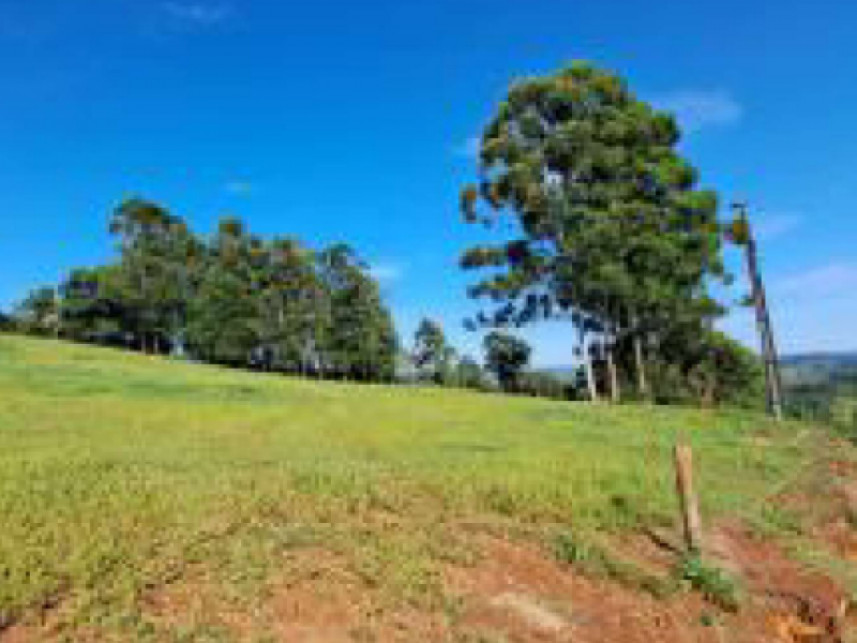 Imagem 2 do Leilão de Área Rural - Interior - União do Oeste/SC