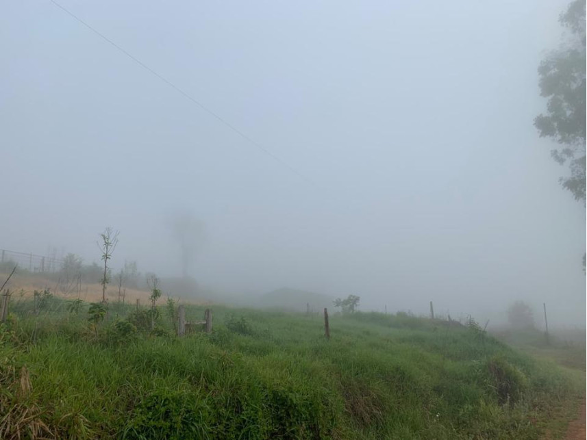 Imagem 11 do Leilão de Área Rural - Distrito de Volta Grande - Alpestre/RS