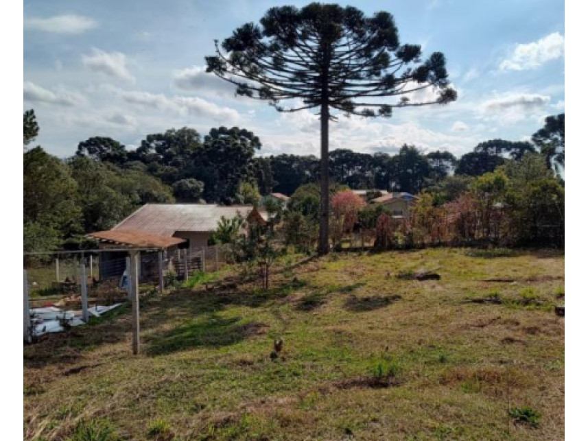 Imagem 13 do Leilão de Casa - Sítio dos Rauen - Rio Negro/PR