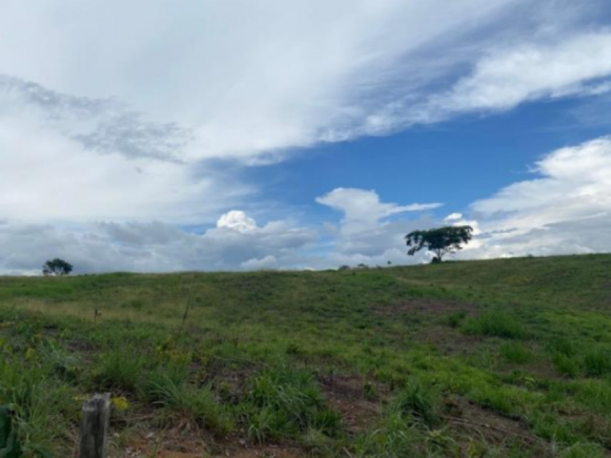 Imagem 9 do Leilão de Fazenda - Zona rural - Vila Nova dos Martírios/MA