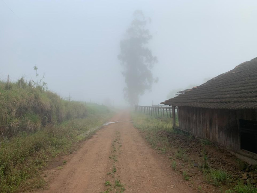 Imagem 2 do Leilão de Área Rural - Distrito de Volta Grande - Alpestre/RS