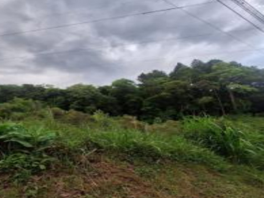 Imagem 5 do Leilão de Área Rural - Interior - Canela/RS