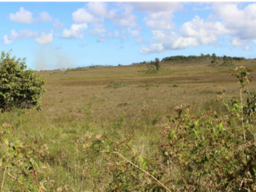 Imagem 3 do Leilão de Fazenda - Fazenda Jaqueira - Camaçari/BA