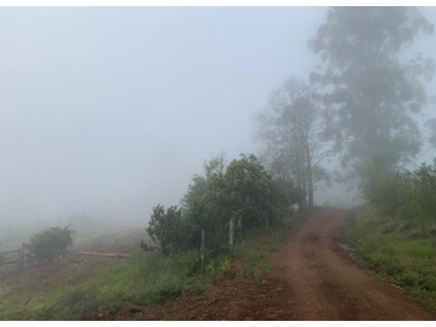 Imagem 13 do Leilão de Área Rural - Distrito de Volta Grande - Alpestre/RS
