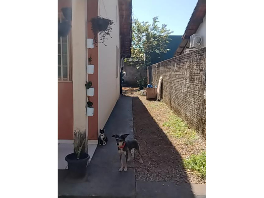 Imagem 4 do Leilão de Casa - Jardim Cerrado - Lucas do Rio Verde/MT
