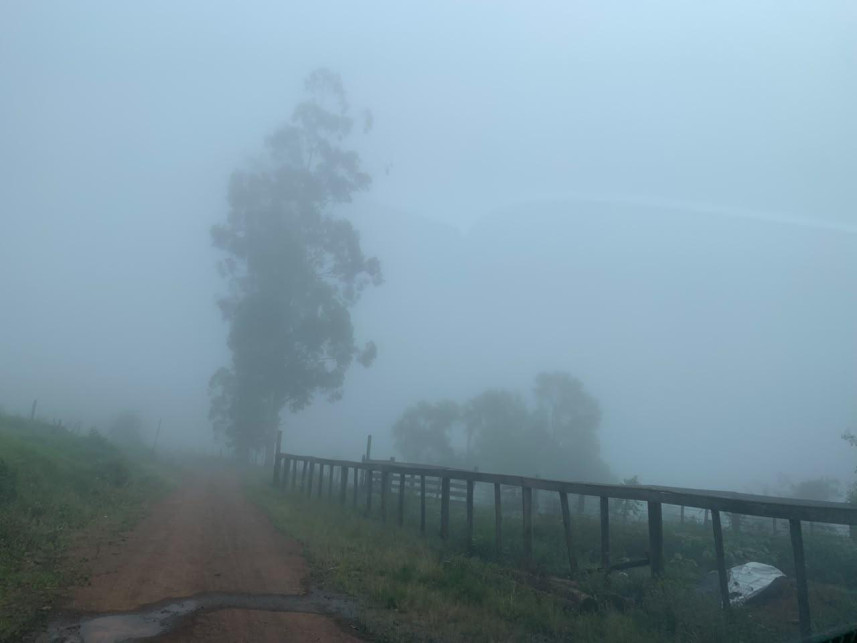 Imagem 5 do Leilão de Área Rural - Distrito de Volta Grande - Alpestre/RS