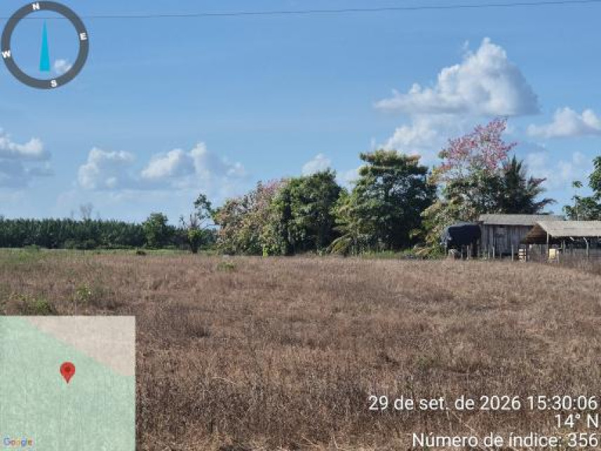 Imagem 16 do Leilão de Área Rural - Interior - Tailândia/PA