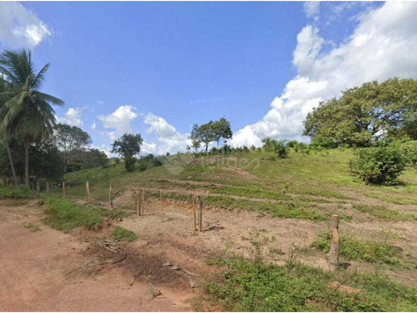 Imagem 2 do Leilão de Área Rural - Zona Rural - Goianorte/TO