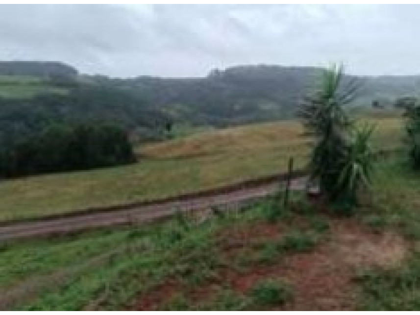 Imagem 13 do Leilão de Área Rural - Colônia Nova Santa Cruz - Itá/SC