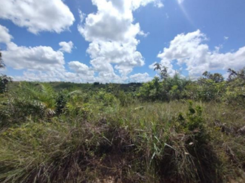 Imagem 3 do Leilão de Terreno - Povoado Duro - Itaporanga D'Ajuda/SE