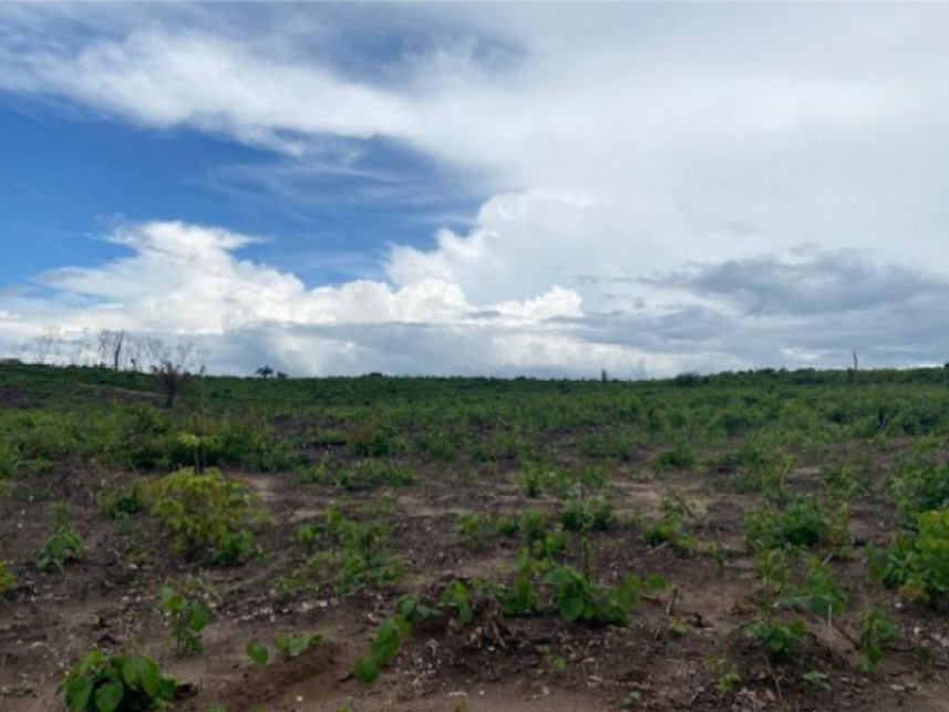 Imagem 3 do Leilão de Fazenda - Zona rural - Vila Nova dos Martírios/MA